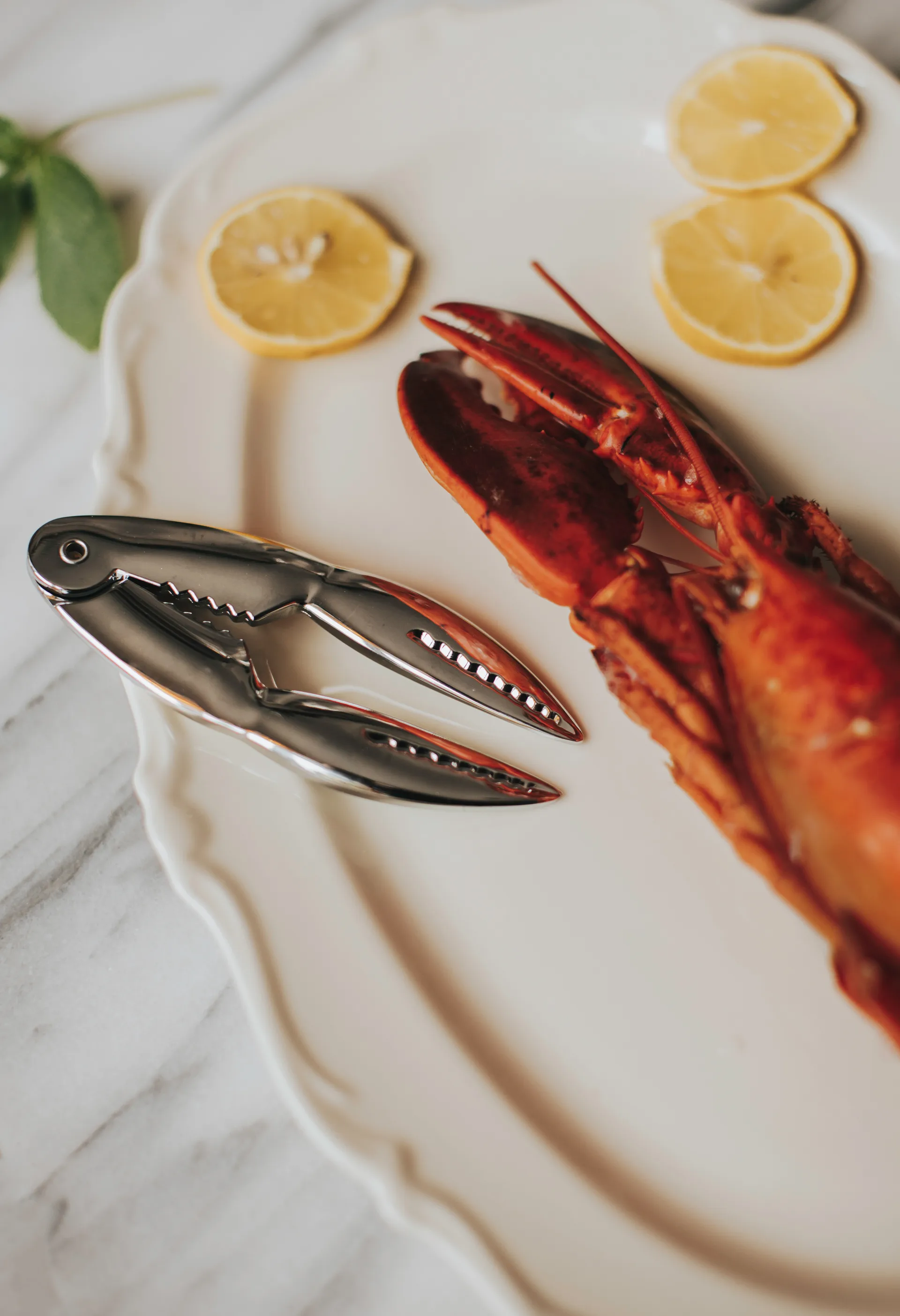 Pince à fruits de mer Skai 13,5 cm, Silver Dorre