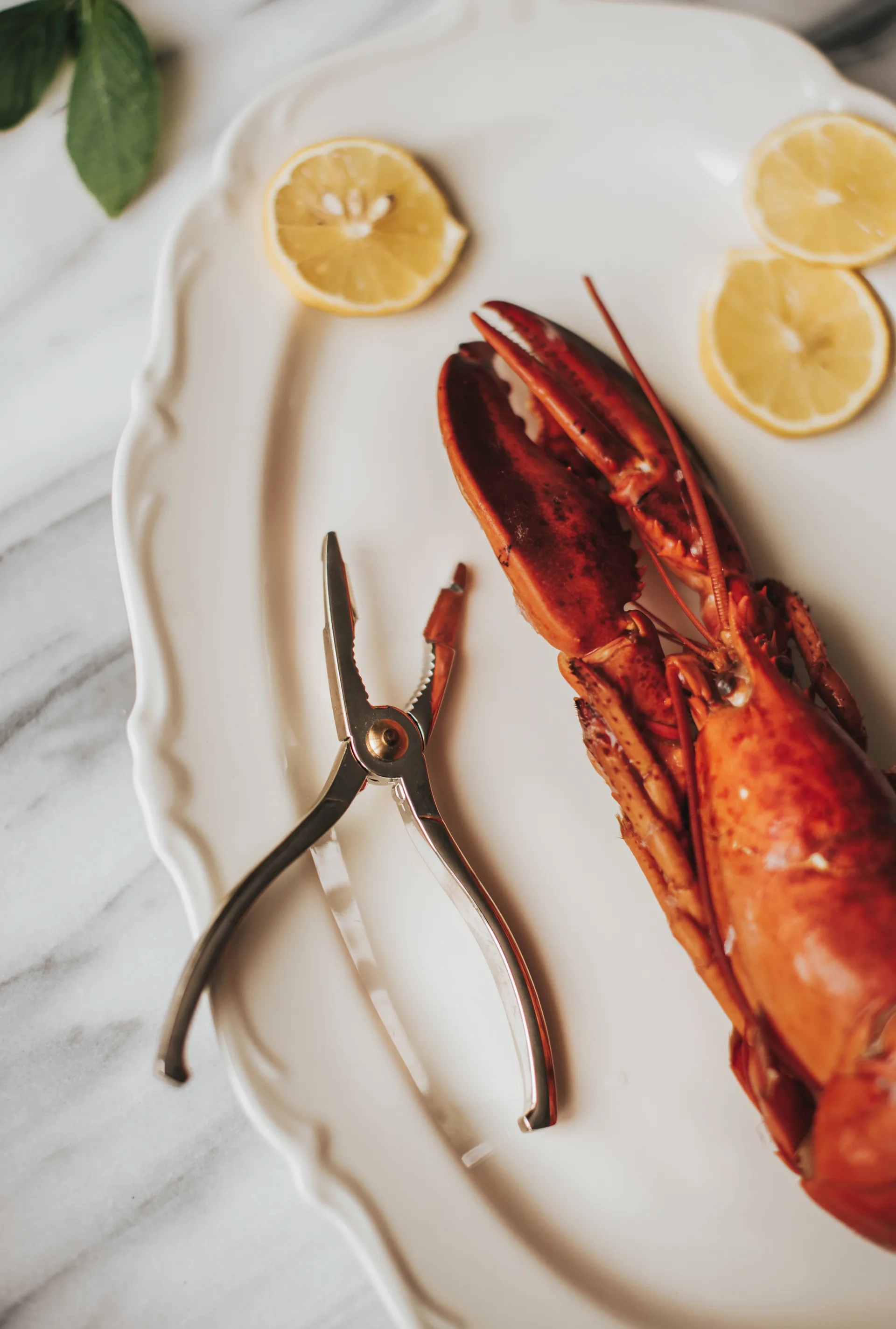 Pince à homard Skai 15 cm, Silver Dorre