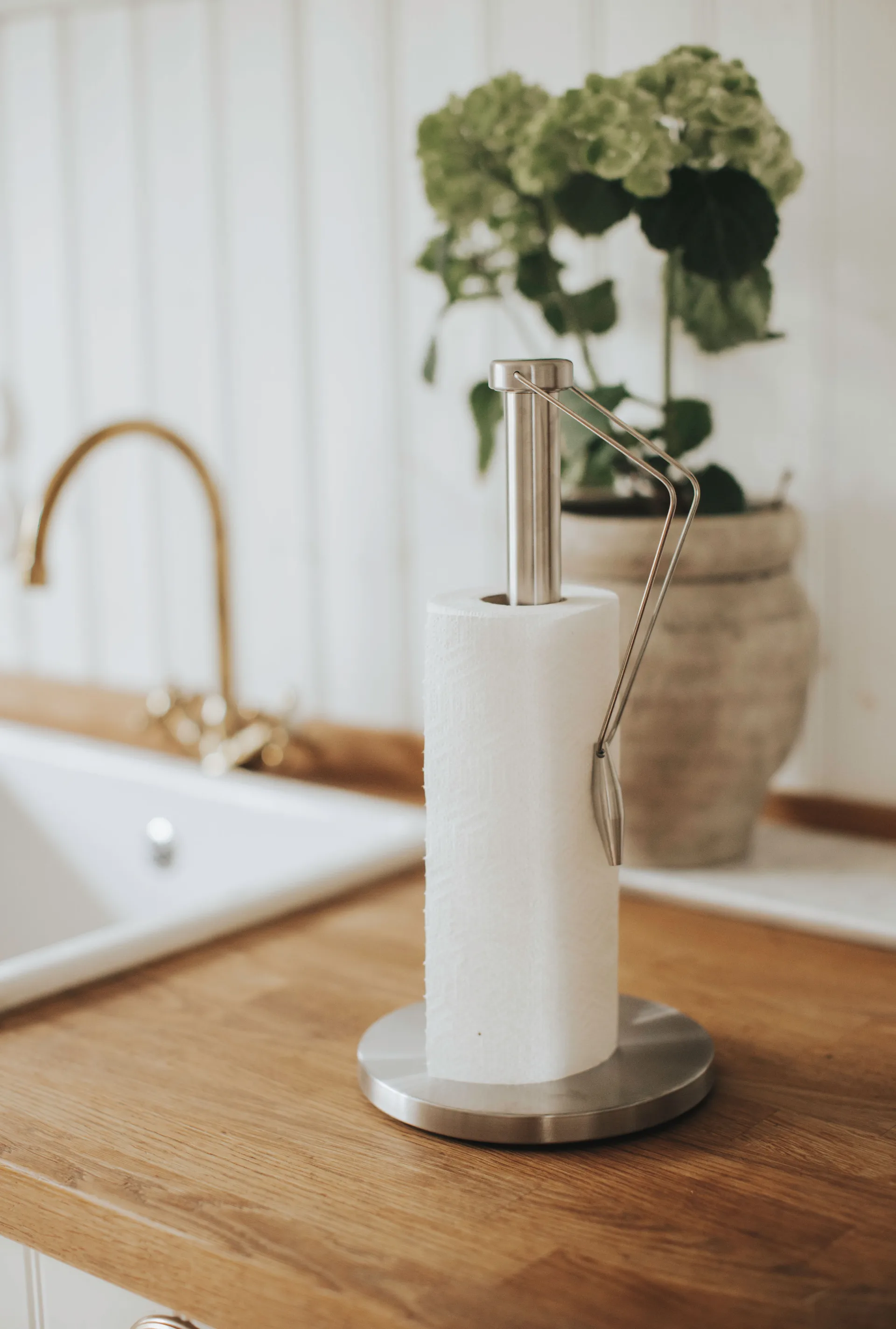 Porte rouleau essuie-tout Alnes 36 cm, Acier inoxydable Dorre