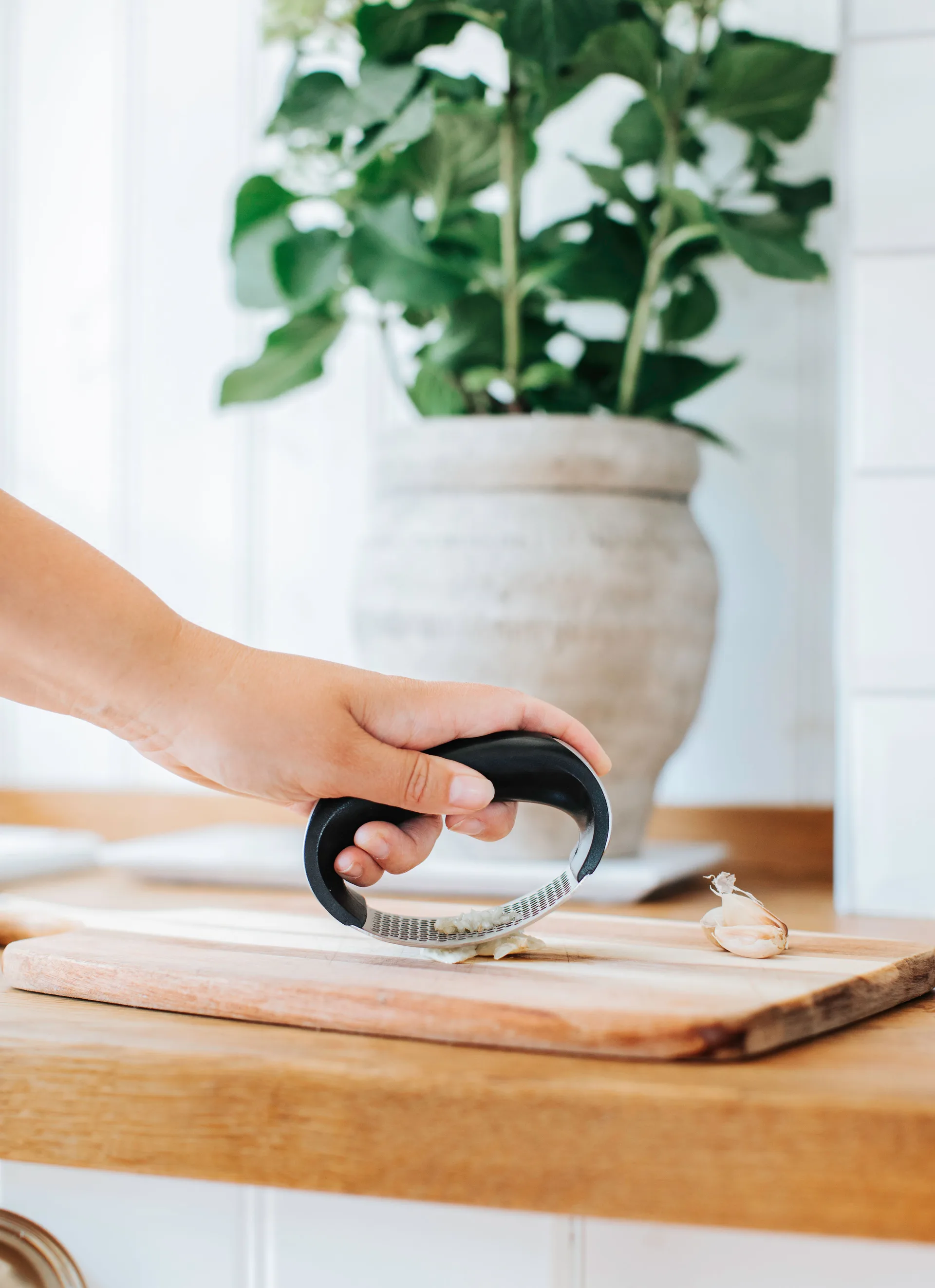 Presse-ail Garli, Acier inoxydable Dorre