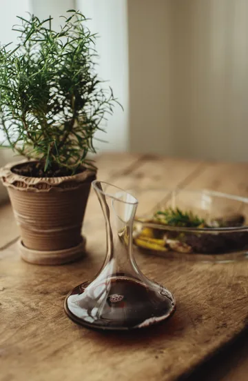 Vinny carafe à vin - Verre, 0,5 L, 17,5x14,2 cm - Dorre