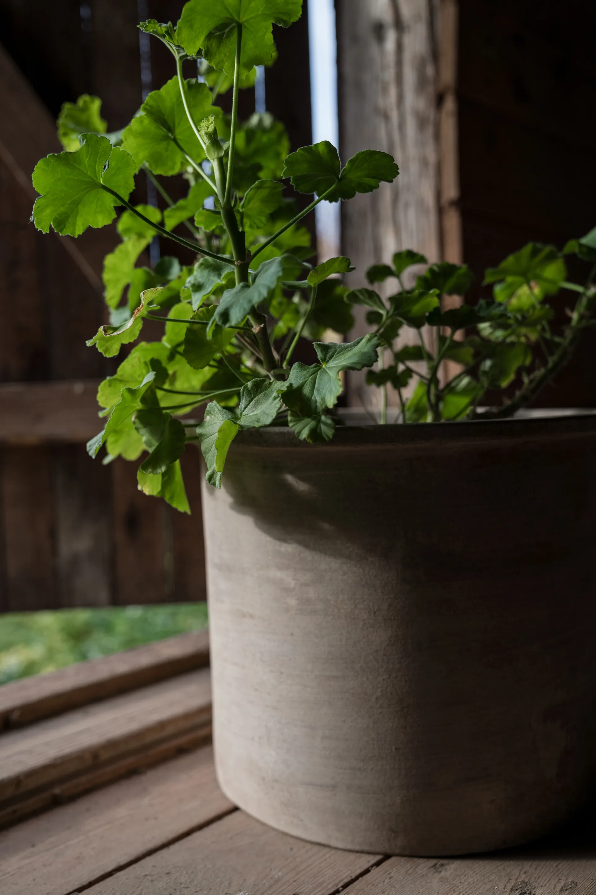 Ensemble de pots en terracotta Ernst 2 pièces, Marron ERNST