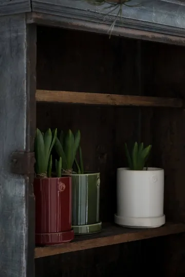 Pot avec soucoupe Ernst - Blanc, Ø10x11 cm - ERNST
