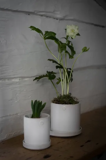 Pot avec soucoupe Ernst - Blanc, Ø10x11 cm - ERNST