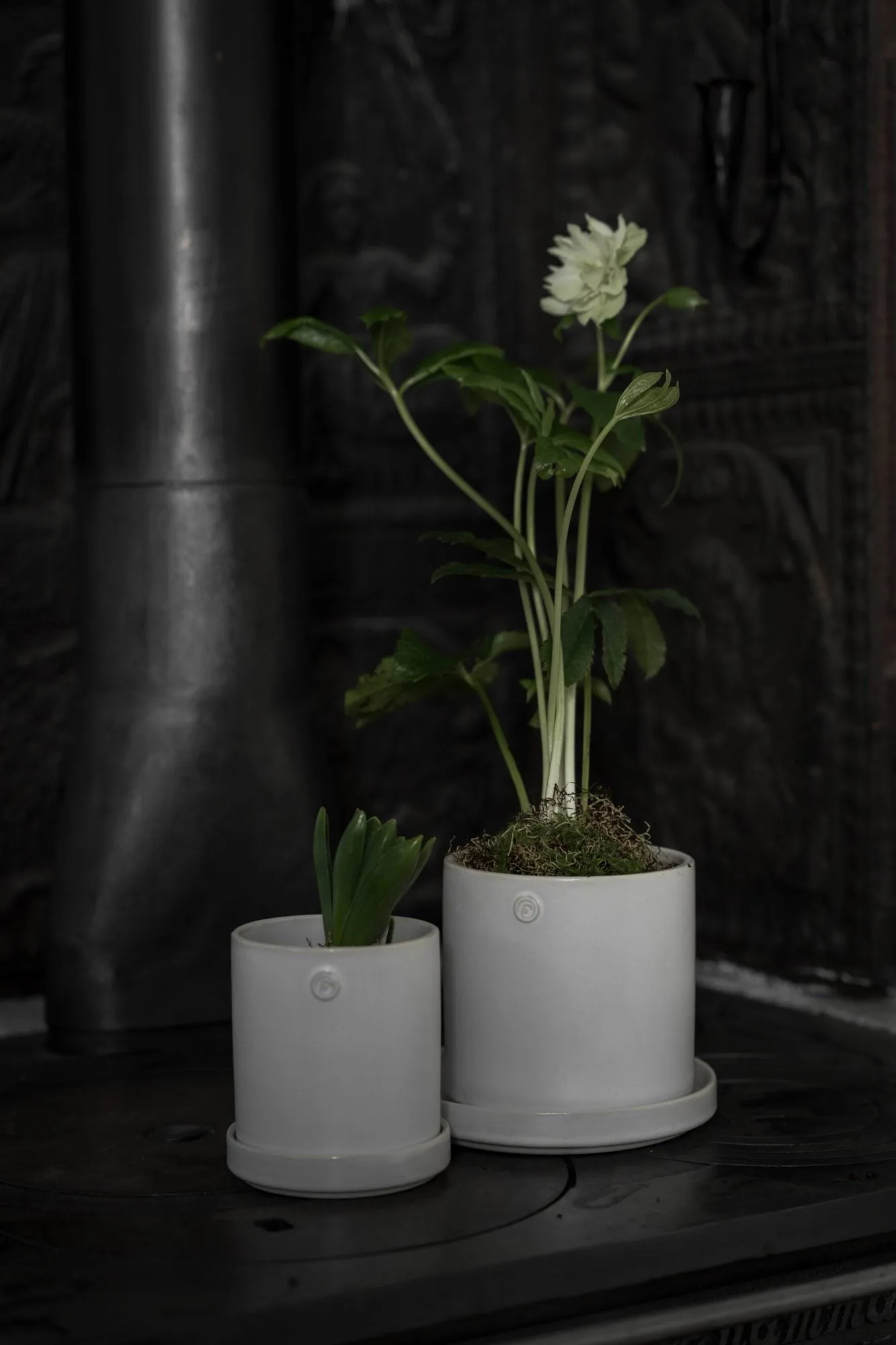 Pot avec soucoupe Ernst, Blanc, Ø13x13 cm ERNST