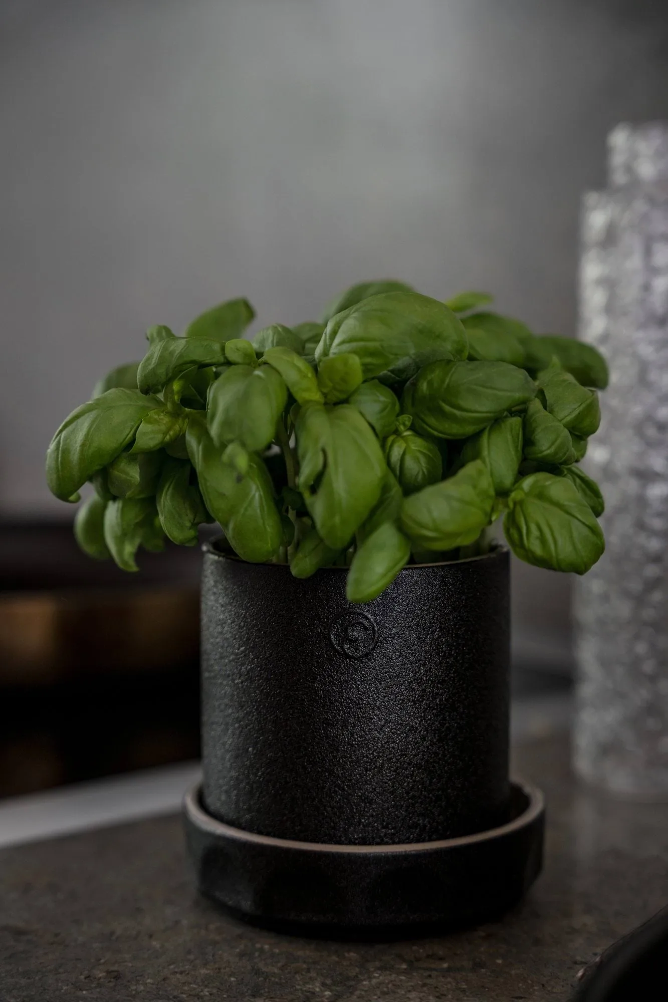 Pot avec soucoupe Ernst, Noir-naturel, Ø11x11 cm ERNST