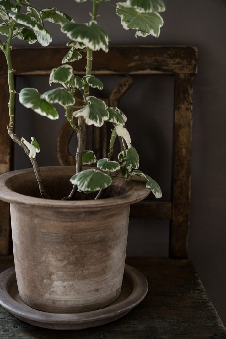 Pot en terracotta Ernst avec soucoupe, Ø24 cm ERNST