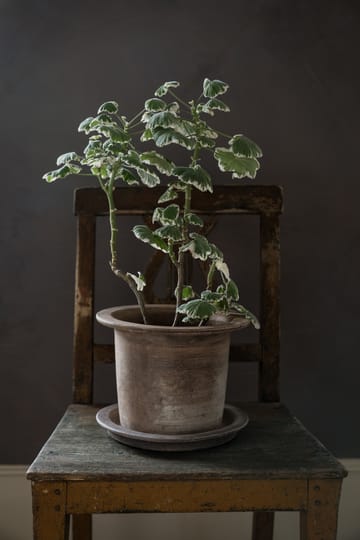 Pot en terracotta Ernst avec soucoupe - Ø24 cm - ERNST
