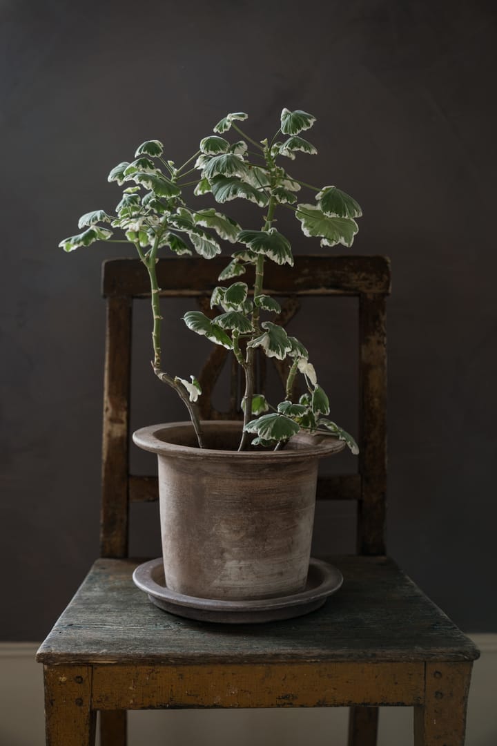 Pot en terracotta Ernst avec soucoupe, Ø24 cm ERNST