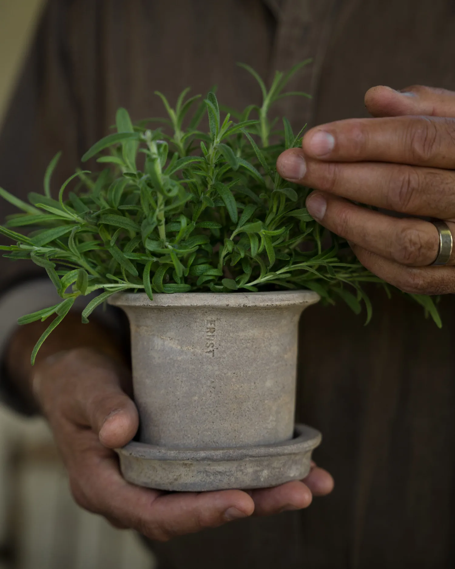 Pot en terre cuite Ernst avec soucoupe, Ø12x10 cm ERNST