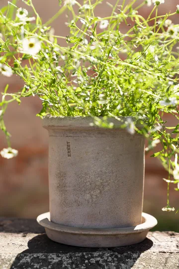 Pot en terre cuite Ernst avec soucoupe - Ø16x16 cm - ERNST