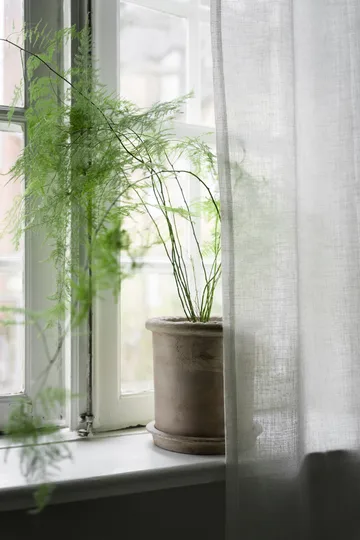 Pot en terre cuite Ernst avec soucoupe - Ø25x28 cm - ERNST