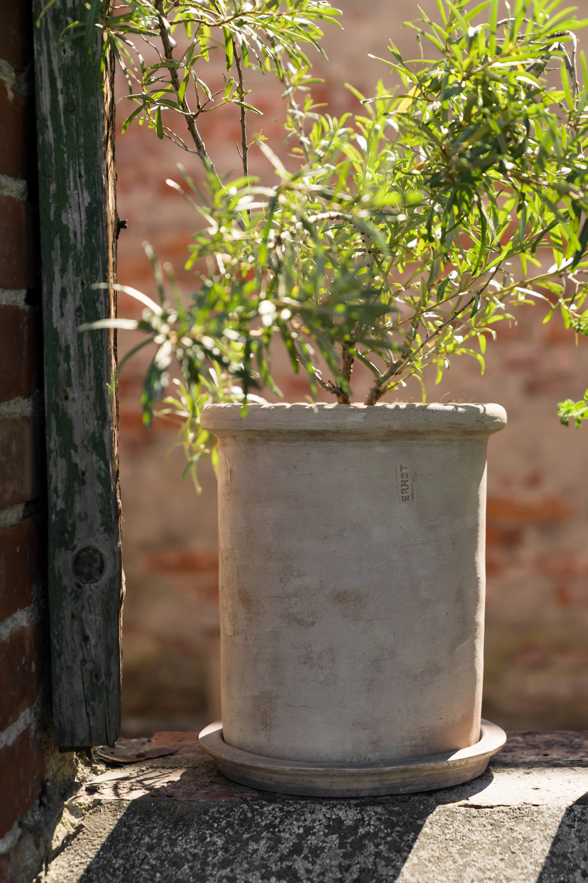 Pot en terre cuite Ernst avec soucoupe, Ø25x28 cm ERNST