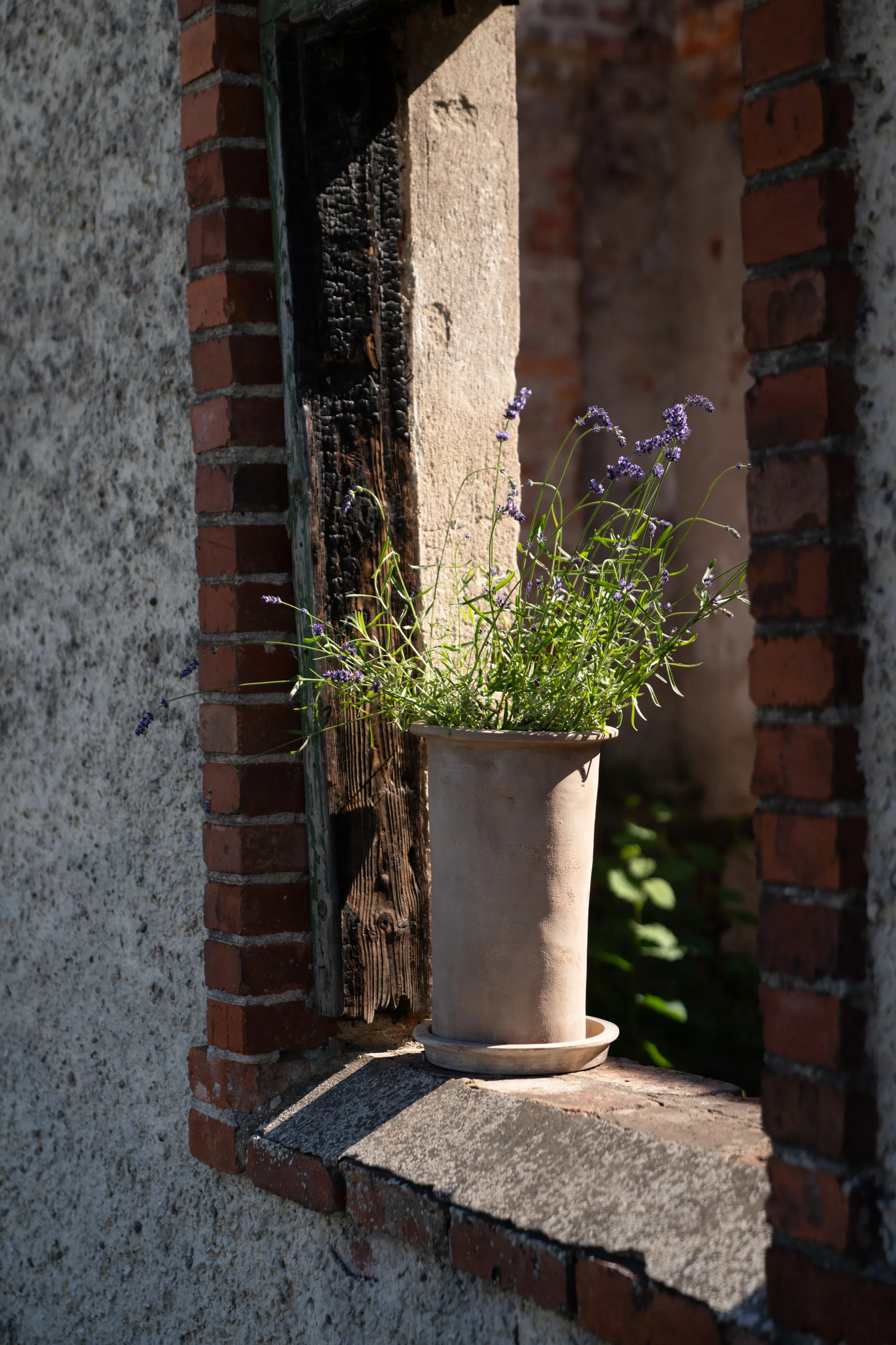 Pot en terre cuite Ernst avec soucoupe, Ø25x35 cm ERNST
