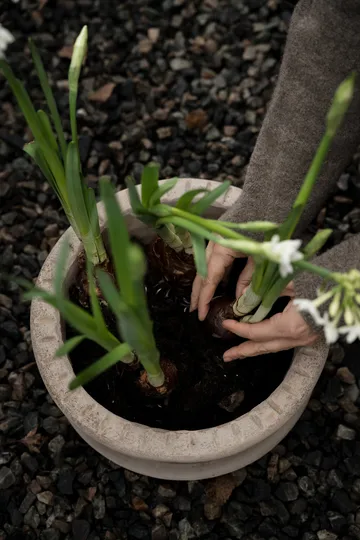 Pot en terre cuite Ernst avec soucoupe - Ø33x12 cm - ERNST