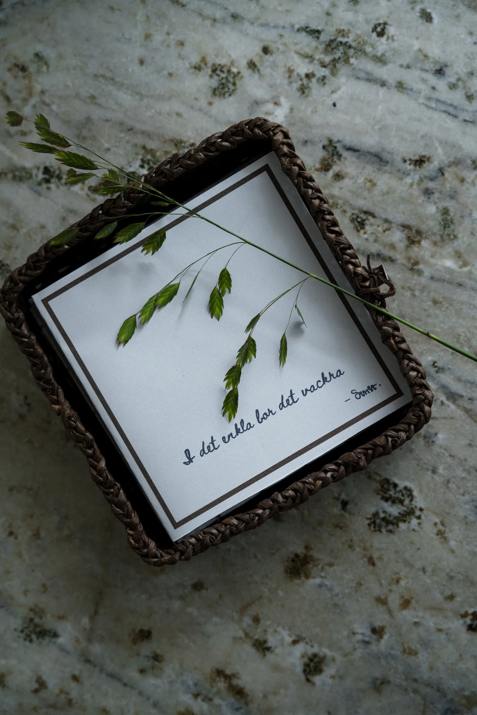 Serviette avec citation Ernst I det enkla Lot de 20, Gris clair ERNST