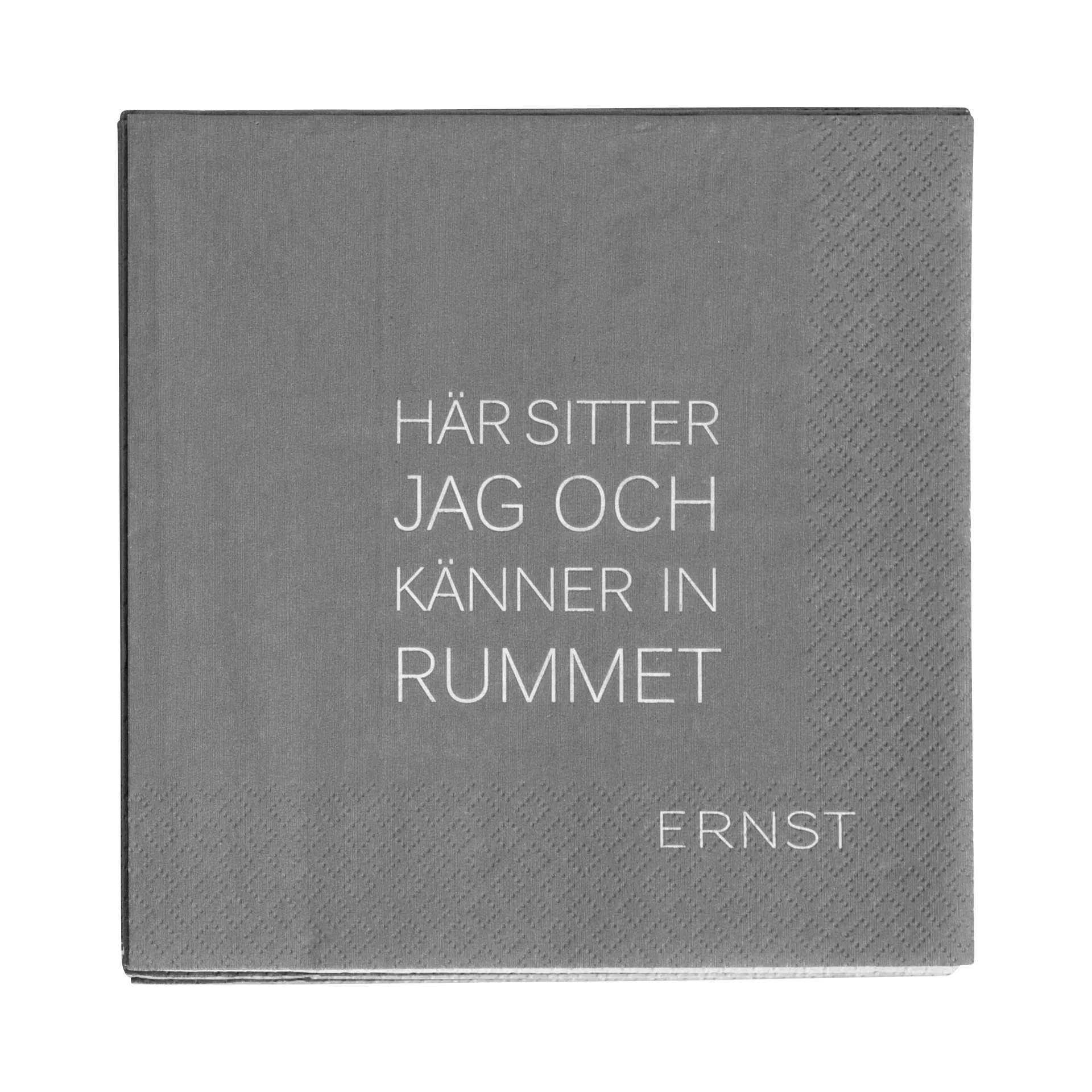 Serviette avec citation Ernst Tid-Rum Lot de 20, Gris ERNST