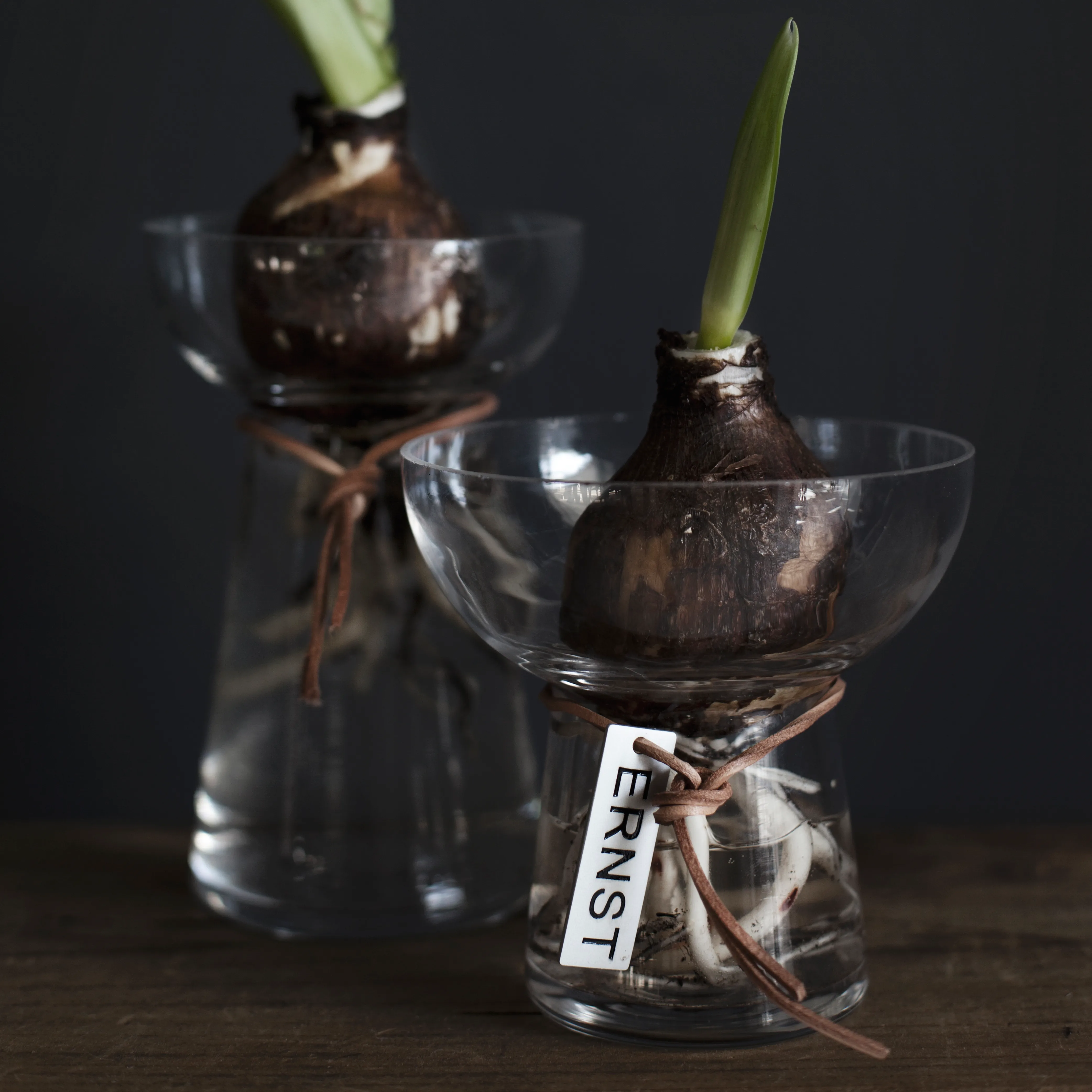 Vase à Jacinthe Facetté Vintage 1960 Allemagne De L'Est | Parfait état