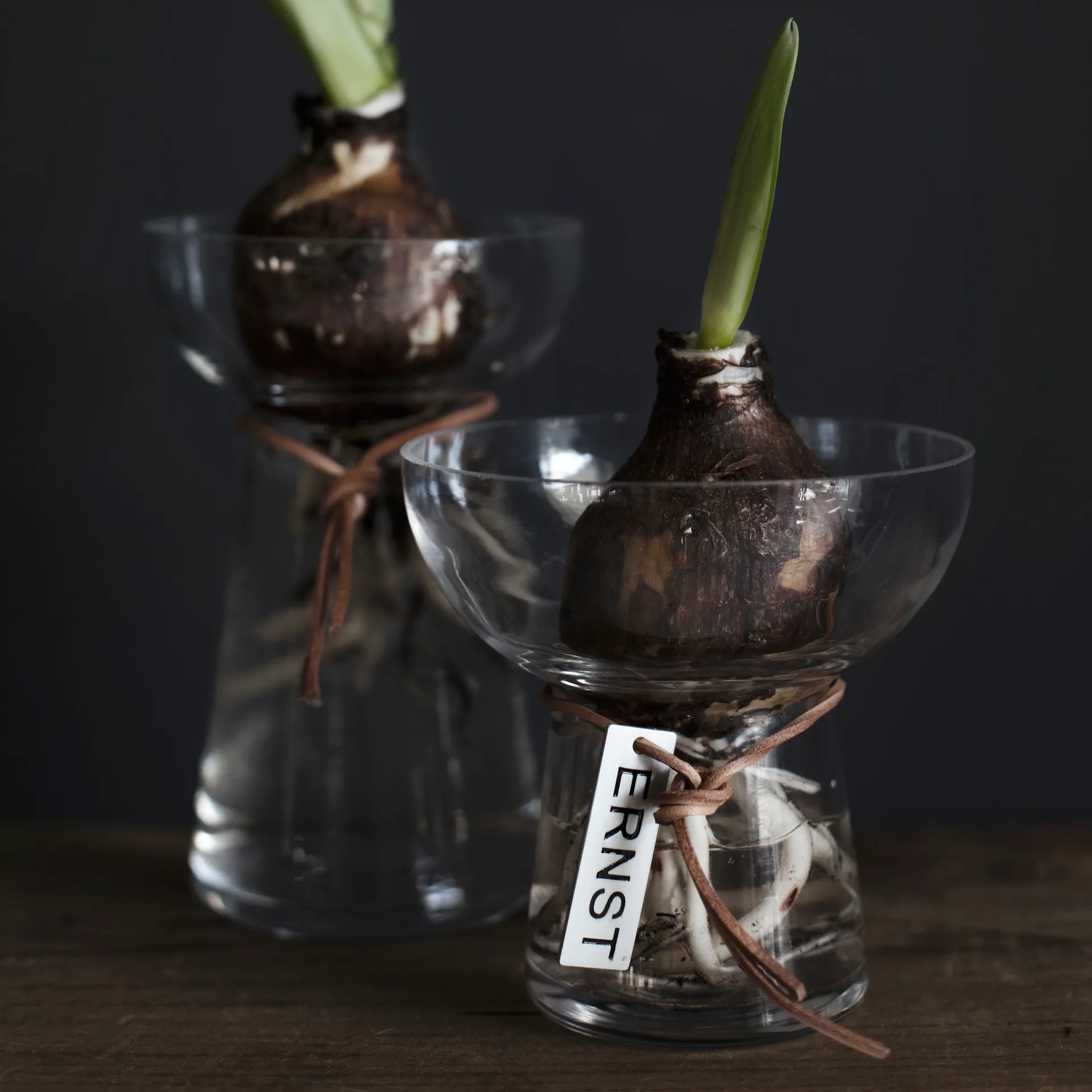 Vase à jacinthe Ernst 11 cm, Transparent ERNST