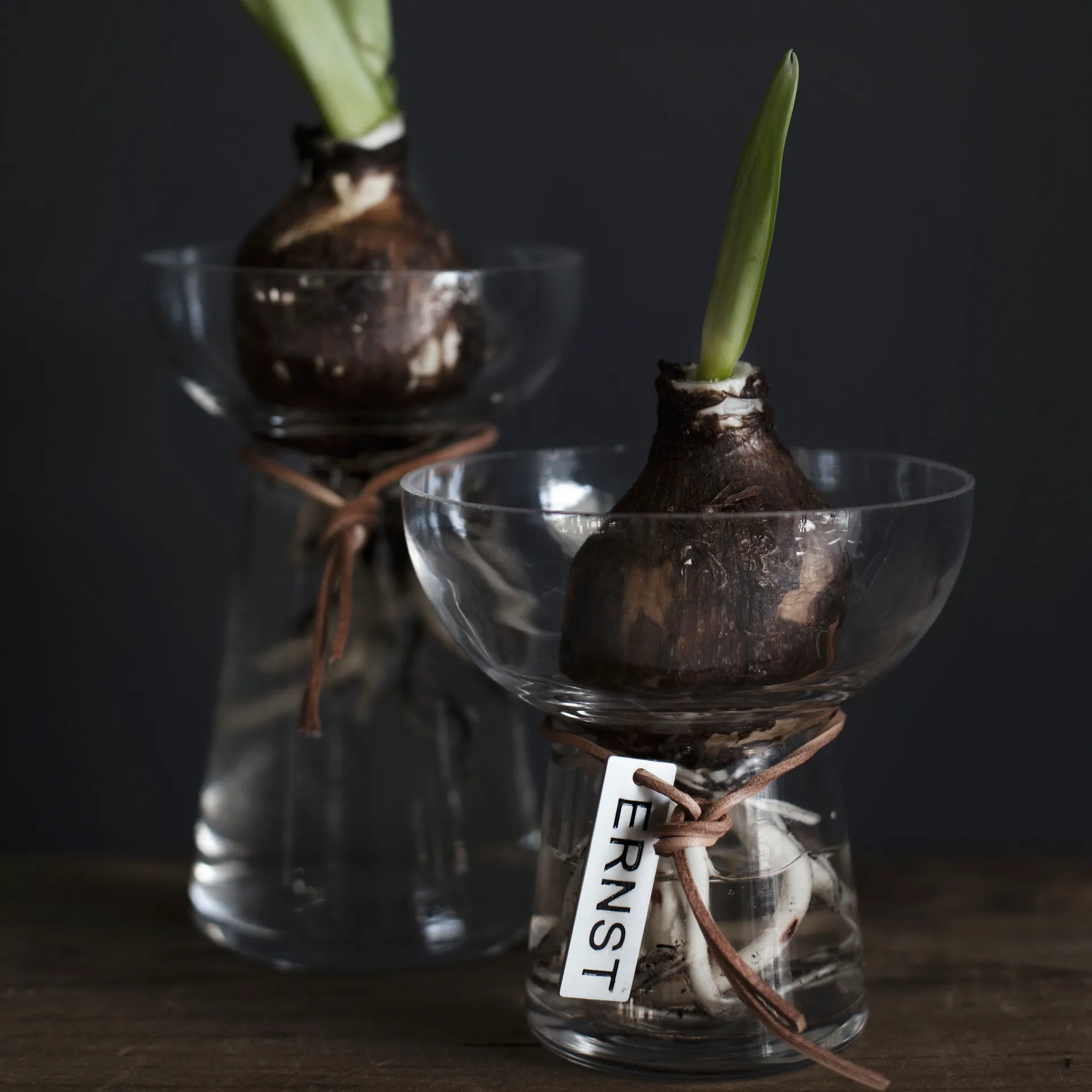 Vase à jacinthe Ernst 15 cm, Transparent ERNST