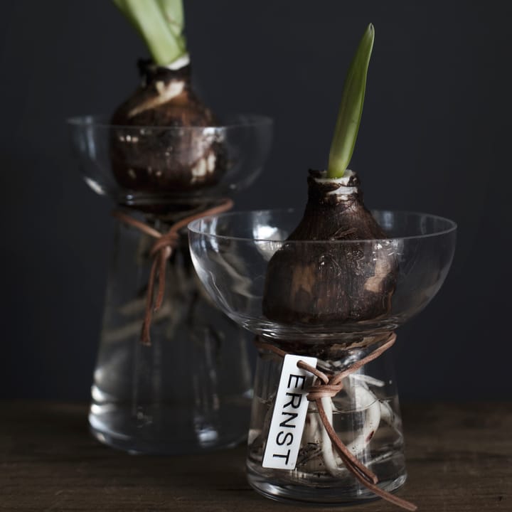 Vase à jacinthe Ernst 15 cm, Transparent ERNST