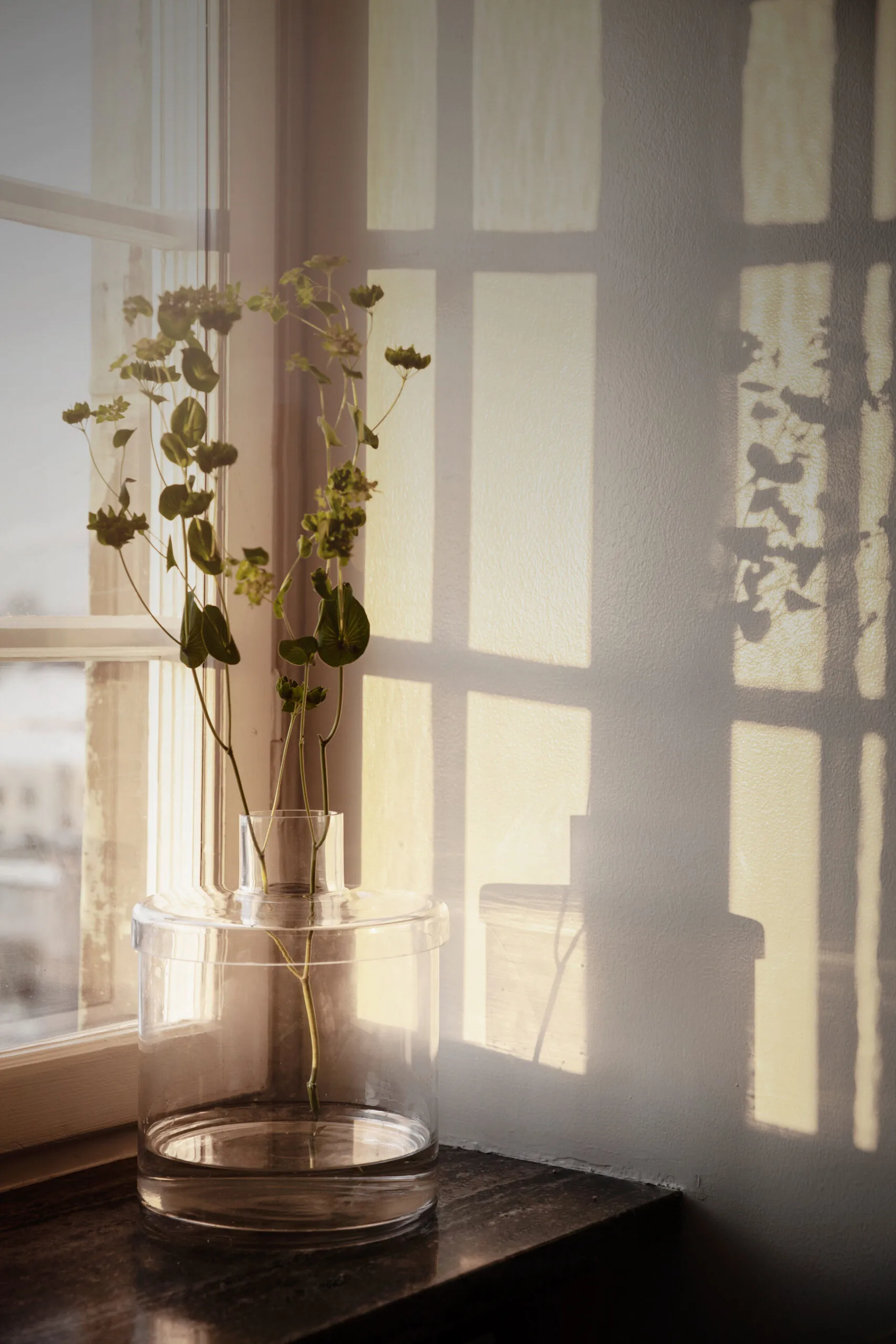 Vase en verre Ernst transparent, Ø16 cm ERNST