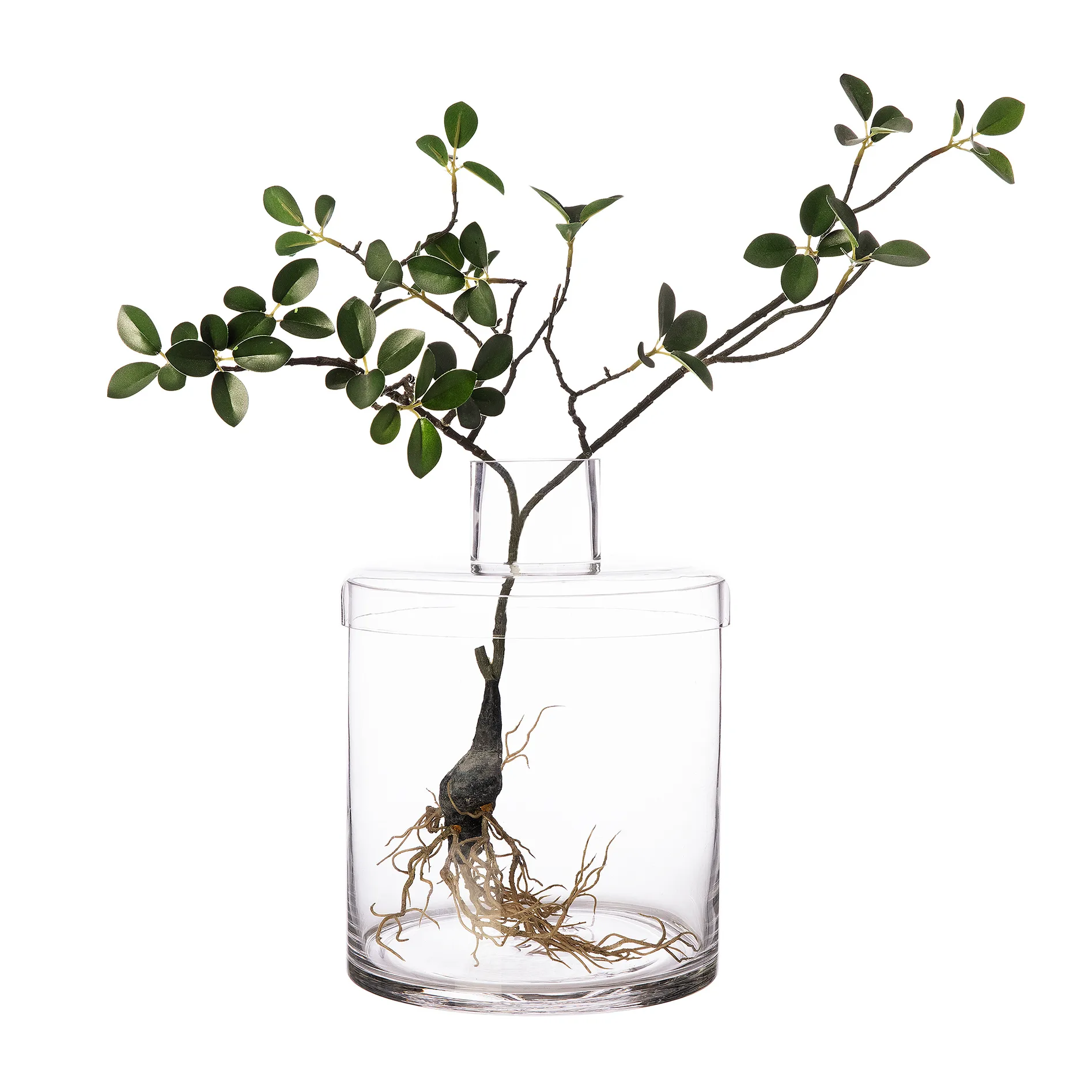 Vase en verre Ernst transparent, Ø20,8 cm ERNST