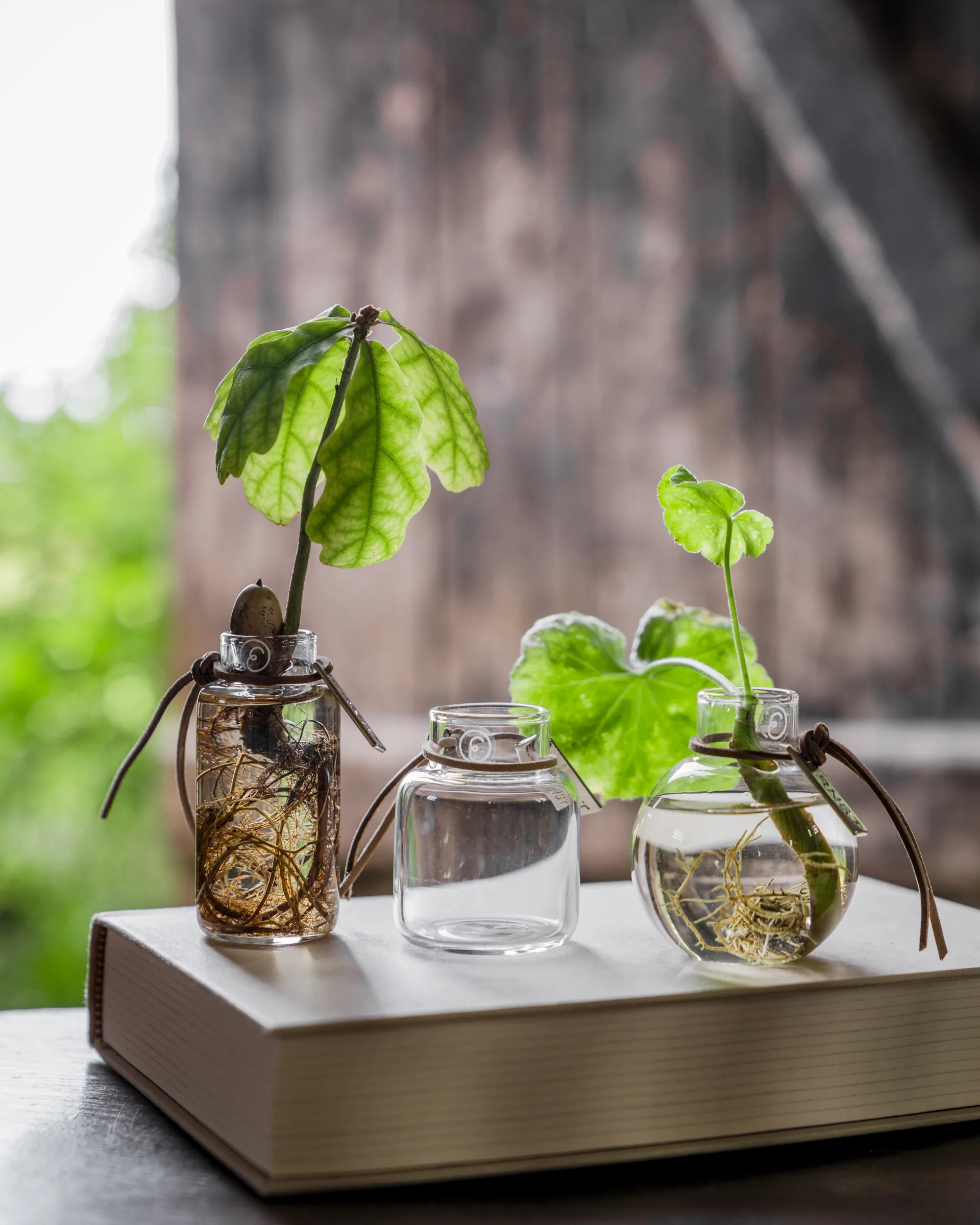 Vase Ernst en emballage cadeau 3 pièces, Clair ERNST