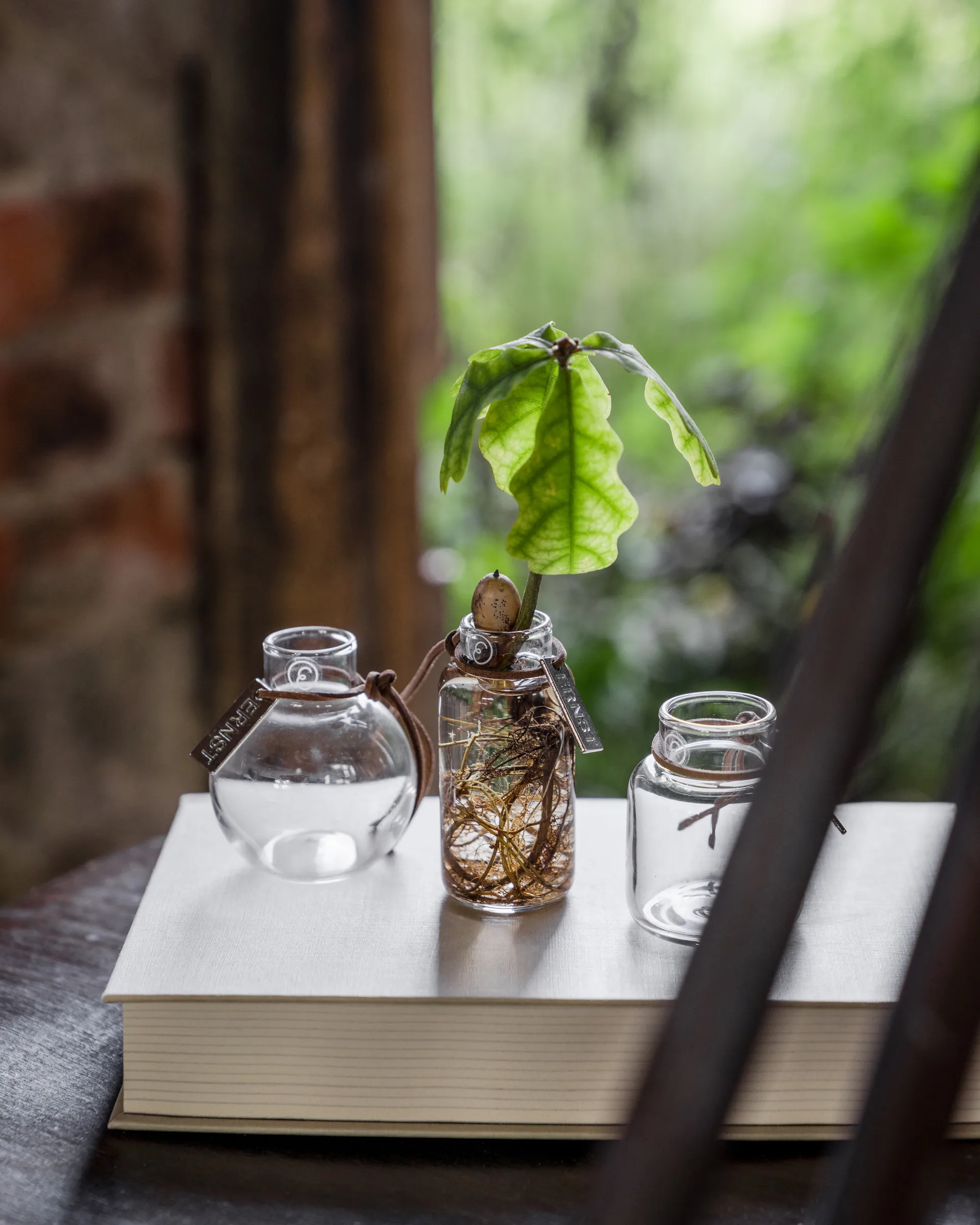 Vase Ernst en emballage cadeau 3 pièces, Clair ERNST