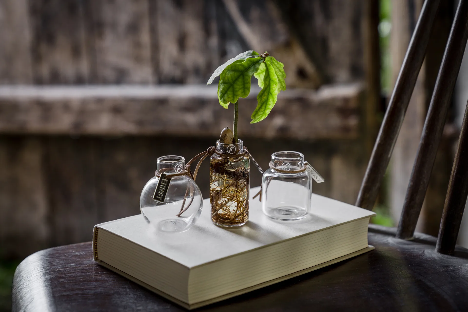 Vase Ernst en emballage cadeau 3 pièces, Clair ERNST