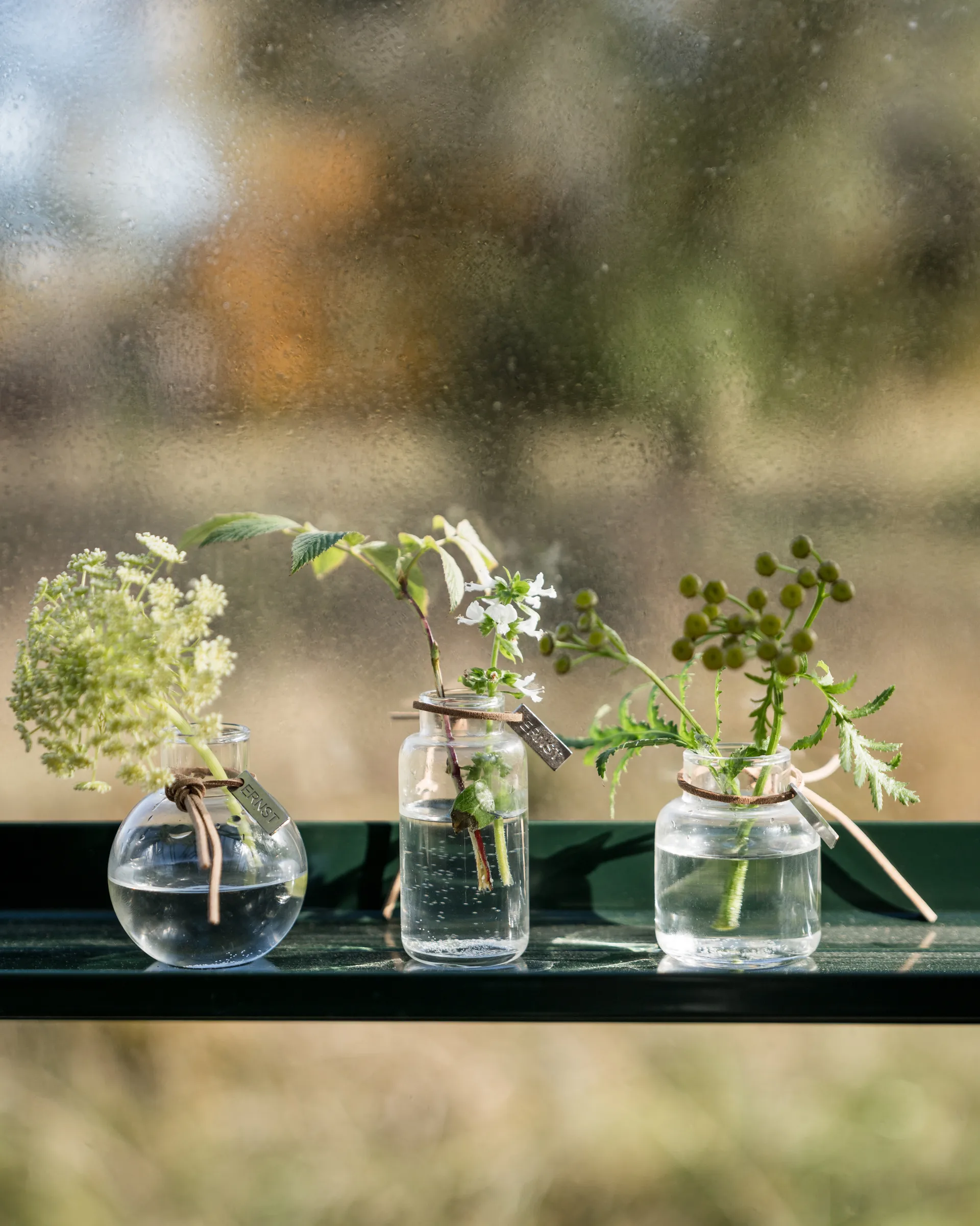 Vase Ernst en emballage cadeau 3 pièces, Clair ERNST