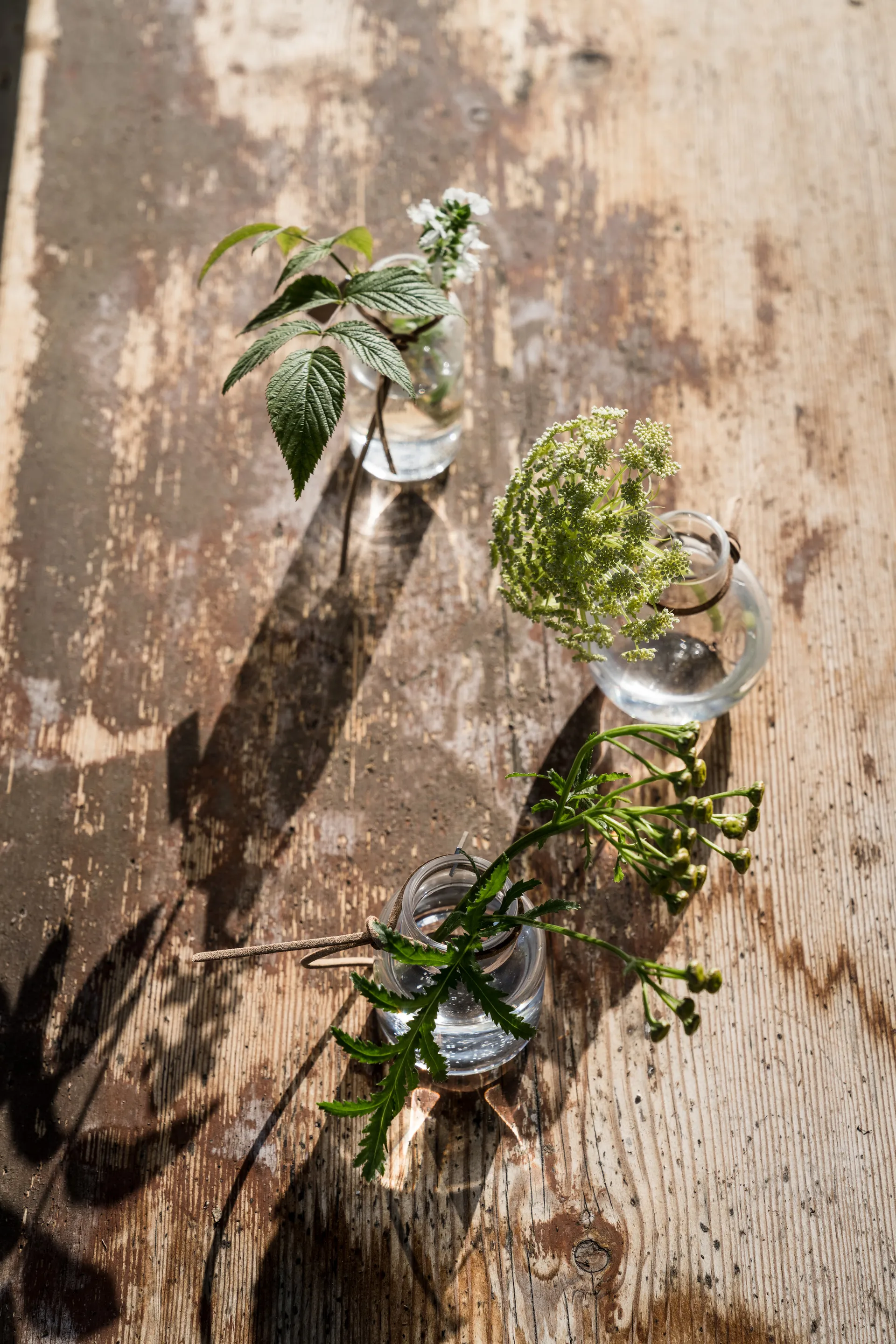 Vase Ernst en emballage cadeau 3 pièces, Clair ERNST