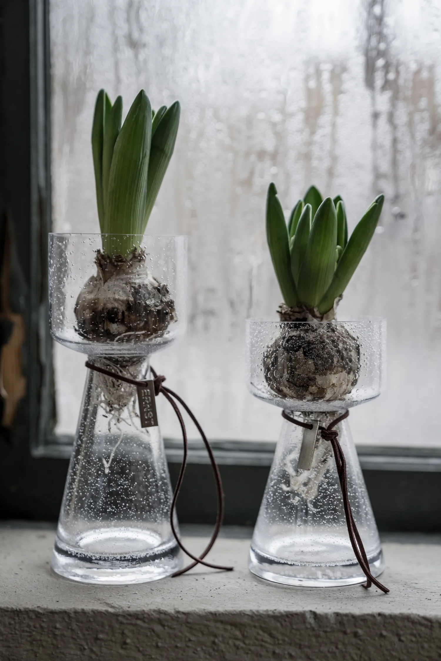 Vase hyacinthe Ernst à bulles, 15 cm ERNST