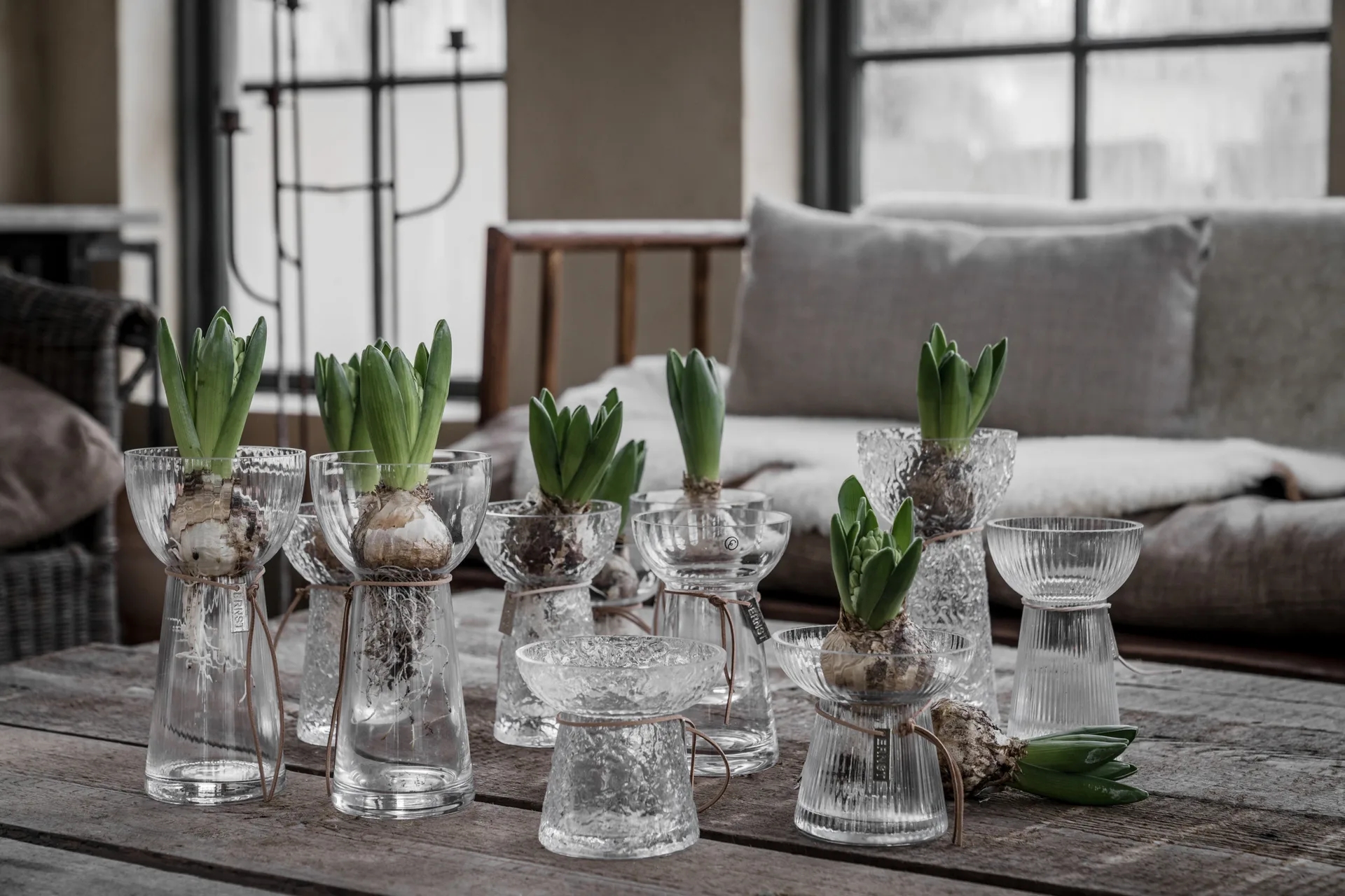 Vase hyacinthe Ernst à motifs, 19 cm ERNST