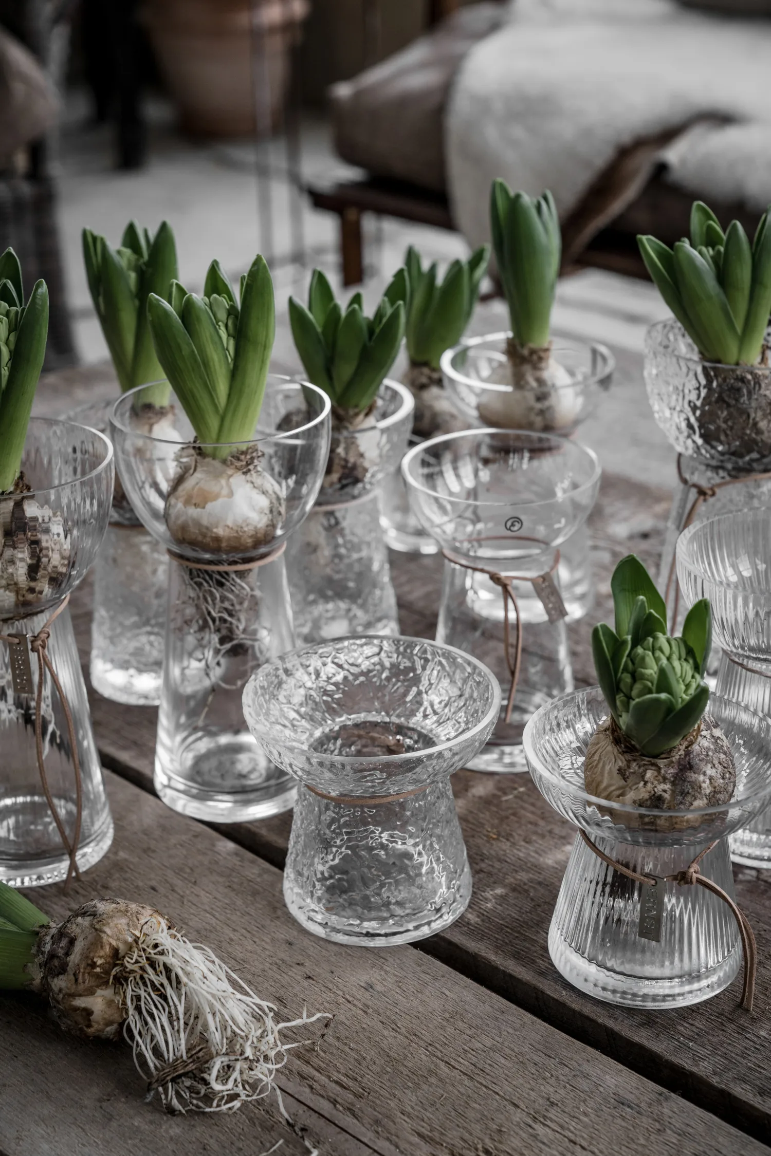 Vase hyacinthe Ernst à motifs, 19 cm ERNST