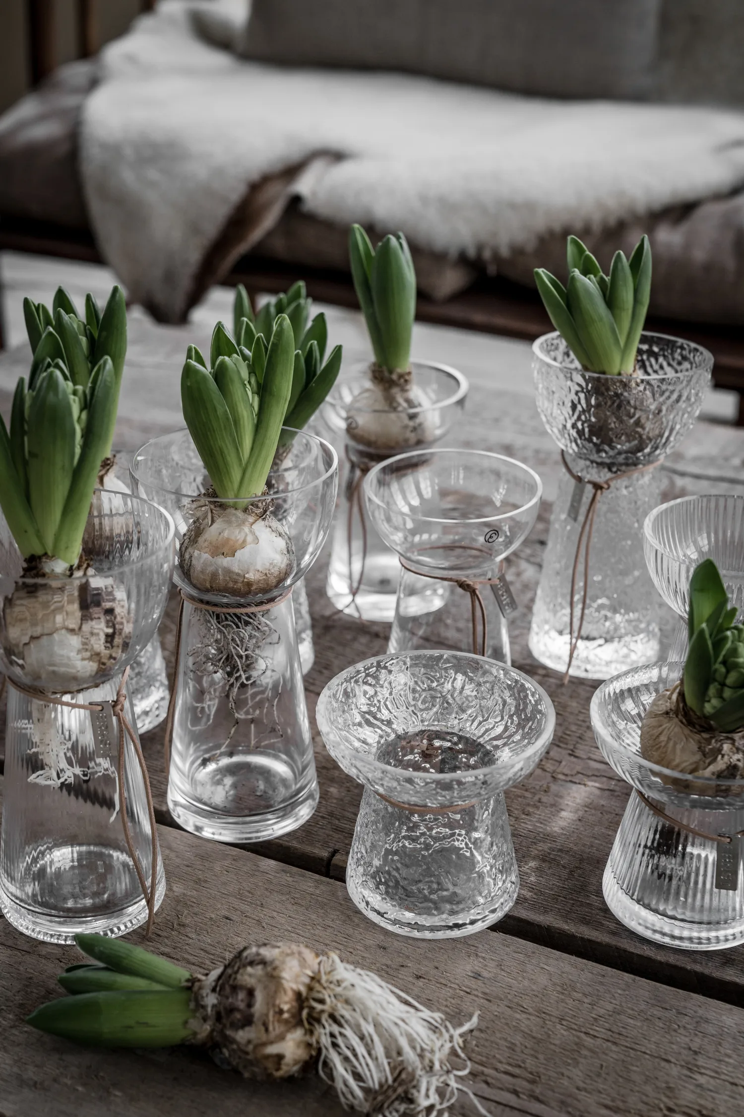 Vase hyacinthe Ernst à motifs, 19 cm ERNST