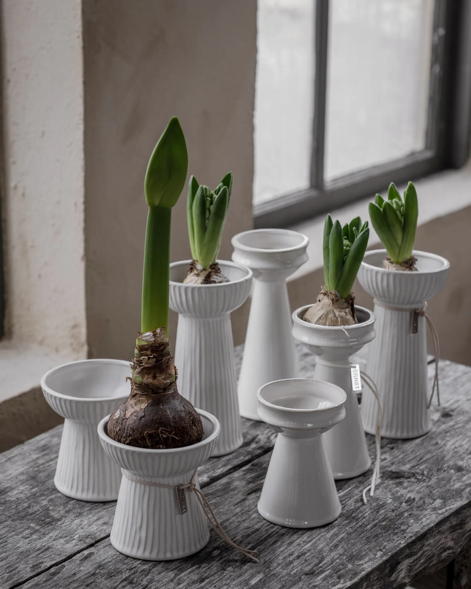 Vase hyacinthe Ernst nervuré 11 cm, Blanc naturel ERNST