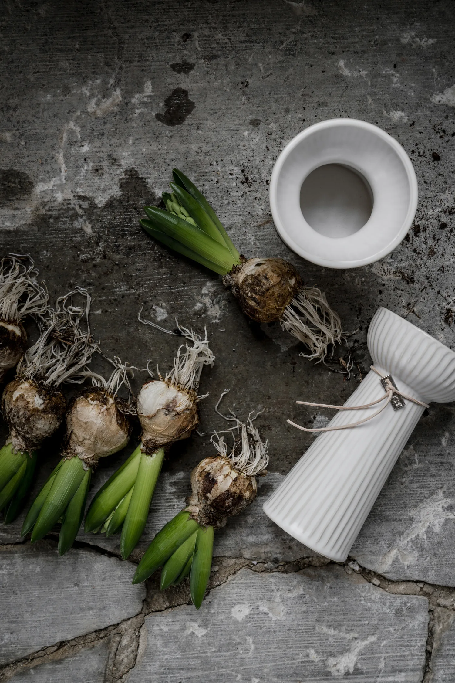 Vase hyacinthe Ernst nervuré 19 cm, Blanc naturel ERNST