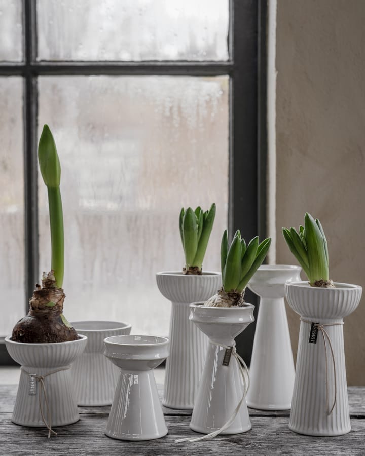 Vase hyacinthe Ernst nervuré 19 cm, Blanc naturel ERNST