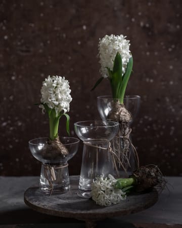 Vase hyacinthe Ernst verre - 19 cm - ERNST