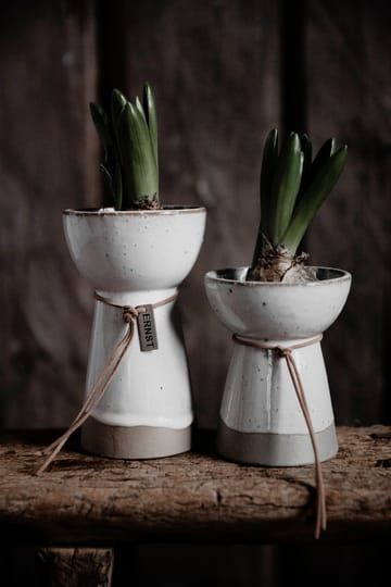 Vase pour oignons Ernst blanc - 11 cm - ERNST