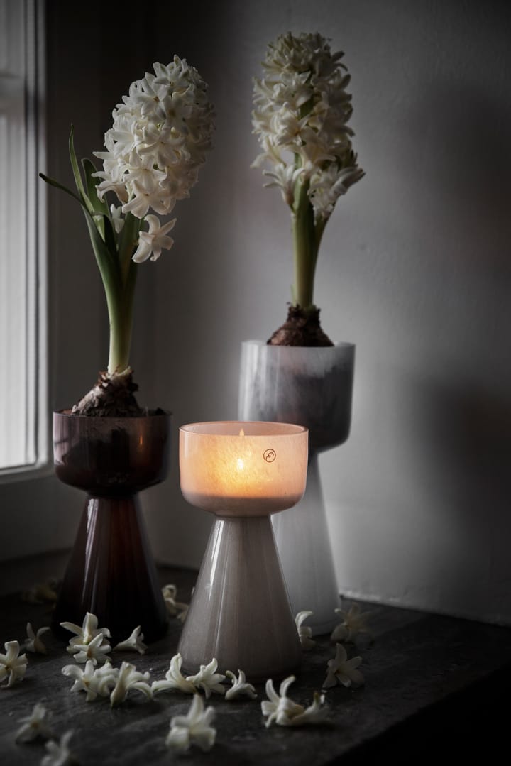 Vase pour plante à oignon Ernst verre 15 cm - Blanc - ERNST