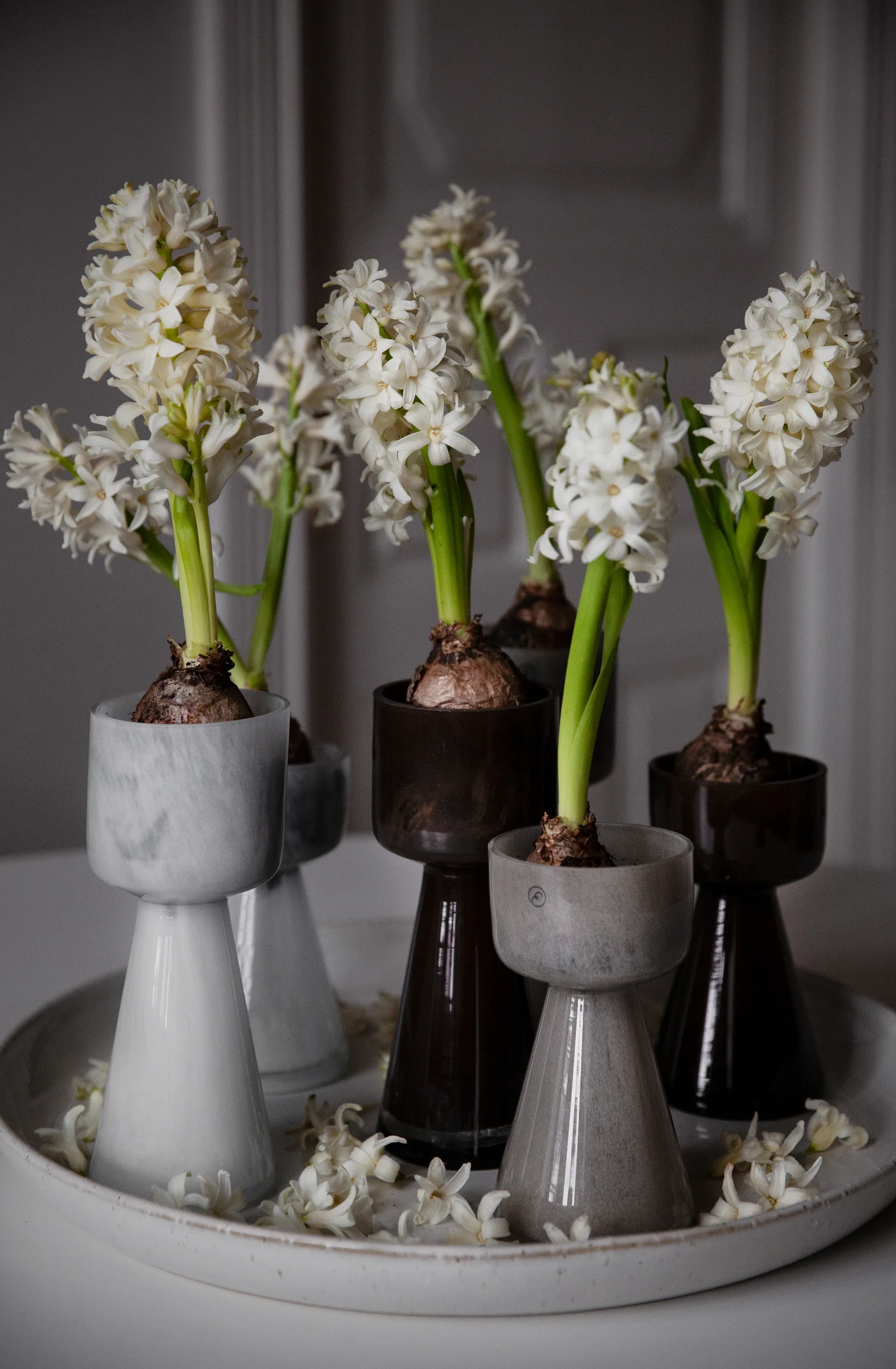 Vase pour plante à oignon Ernst verre 20 cm, Blanc ERNST