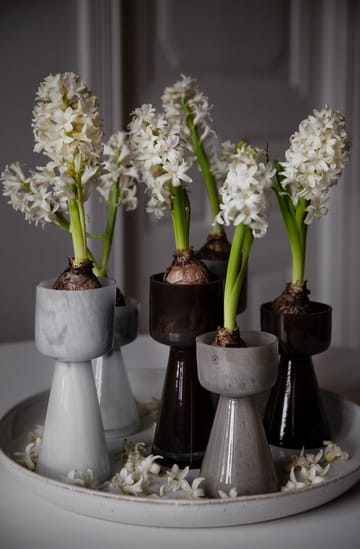 Vase pour plante à oignon Ernst verre 20 cm - Blanc - ERNST