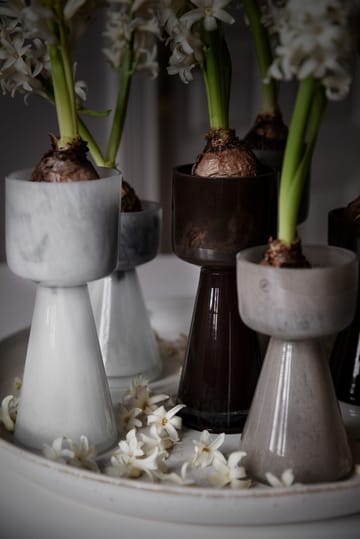 Vase pour plante à oignon Ernst verre 20 cm - Blanc - ERNST