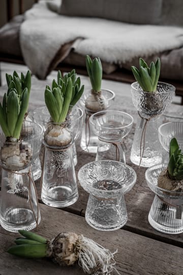 Vase rayé Ernst pour plante à oignon  - 11 cm - ERNST