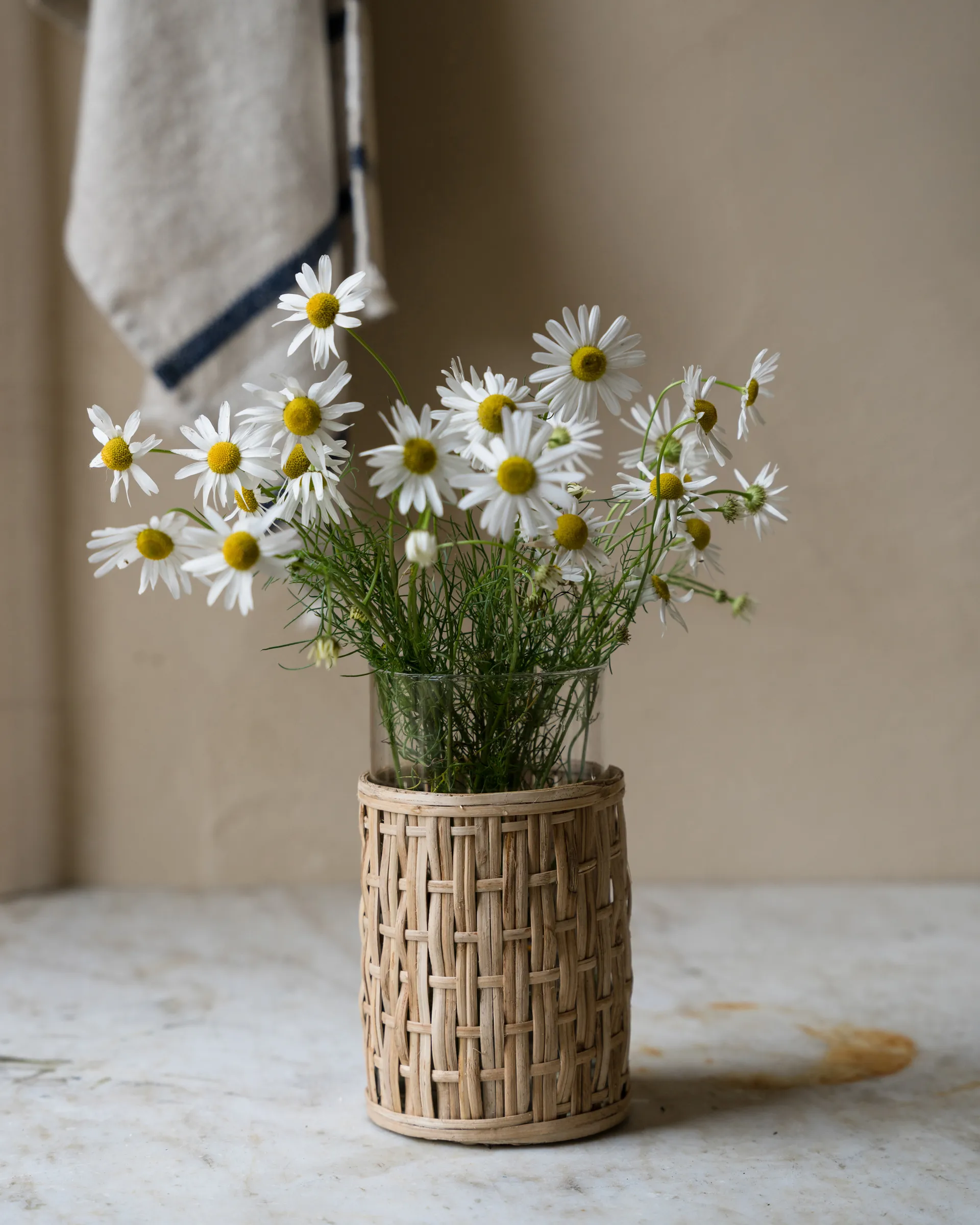 Vase/photophore Ernst en panier, Naturel, Ø10x18 cm ERNST