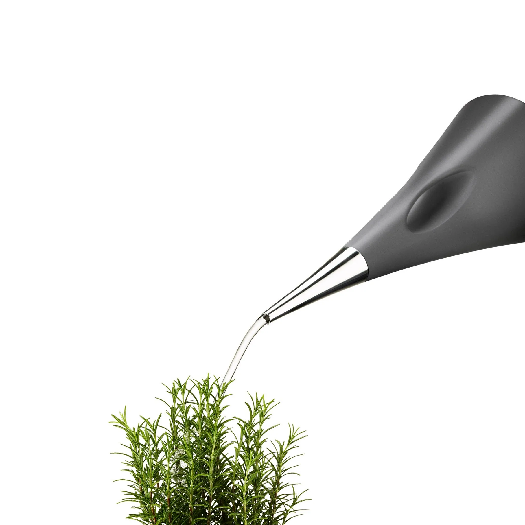 Arrosoir AquaStar, gris Eva Solo