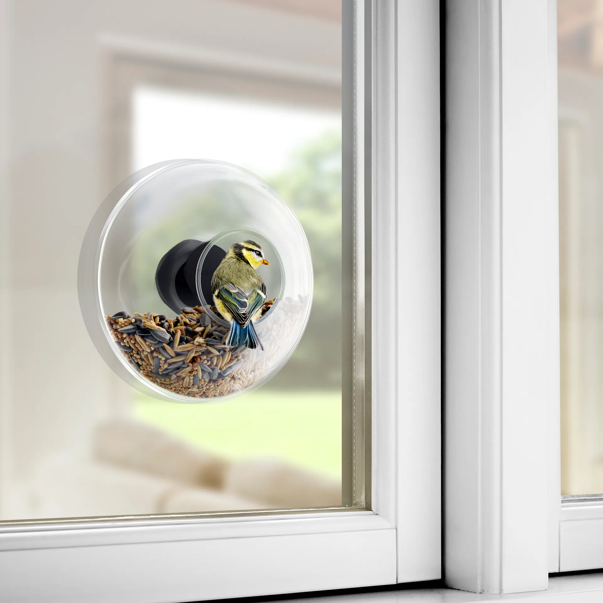 Mangeoire à oiseaux pour fenêtre Eva Solo, Ø 14,3 cm Eva Solo