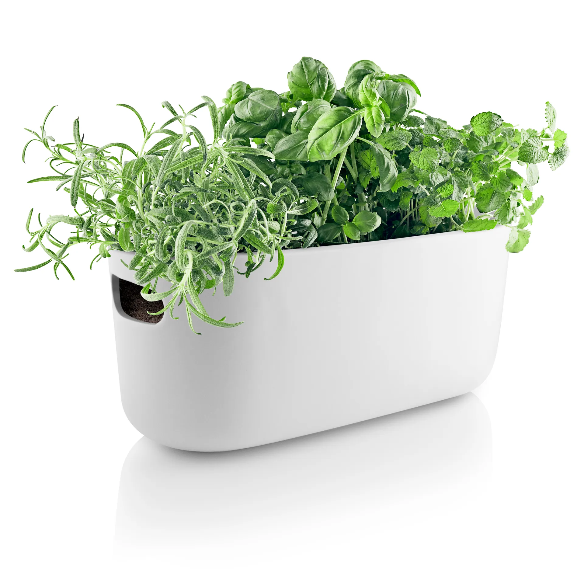 Organisateur d'herbes aromatiques à arrosage automatique Eva Solo, Blanc Eva Solo